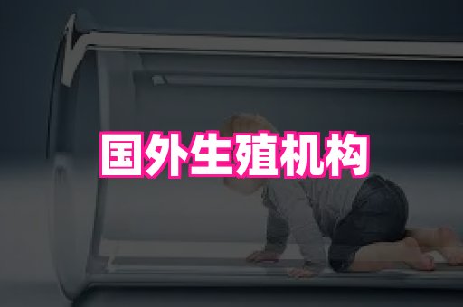 长春助孕网站 1