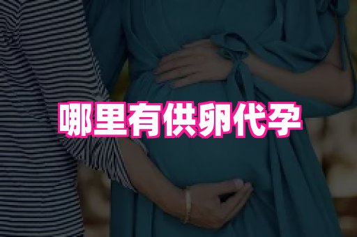 长春助孕网站 3